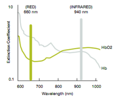 图1 血红蛋白的光吸收图